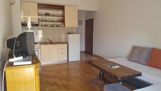 Апартаменты Apartment Vuletic Будва Лофт-50